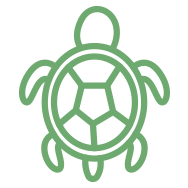 Tortuga